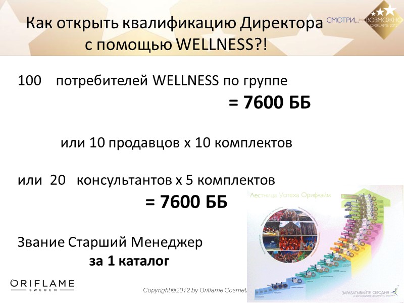 100    потребителей WELLNESS по группе      